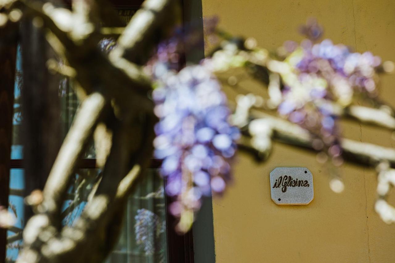 Agriturismo Montalbino 몬테스페르톨리 외부 사진
